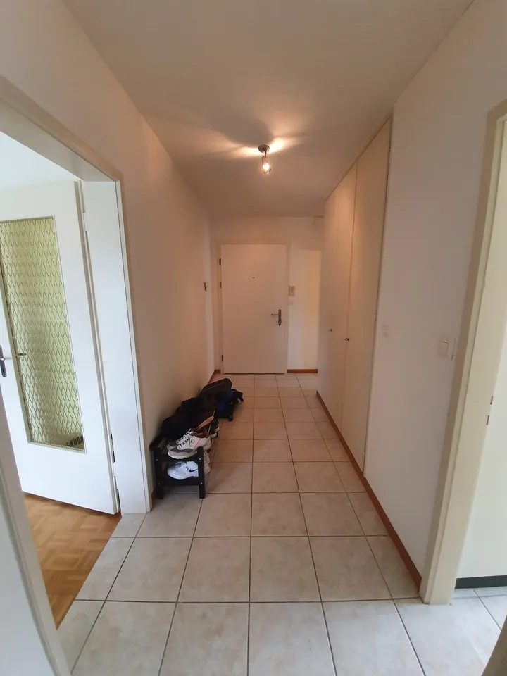 1 bedroom apartment with lake view (temporary)