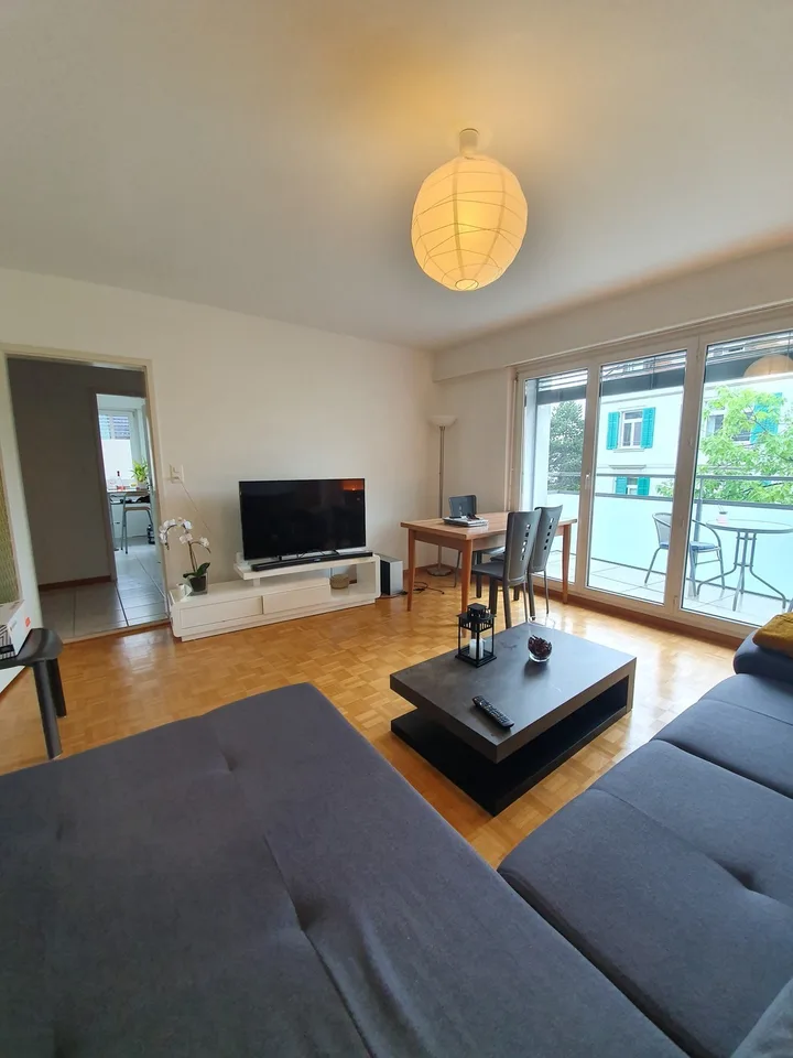 1 bedroom apartment with lake view (temporary)