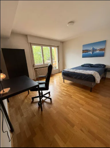 Cozy apartment in Zurich City