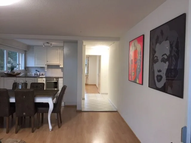Wohnung in Adliswil