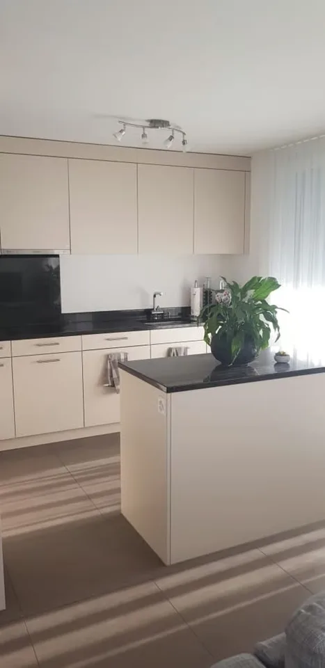 Appartement lumineux de 4,5 pièces avec grand balcon ensoleillé – photo 20 sur 30