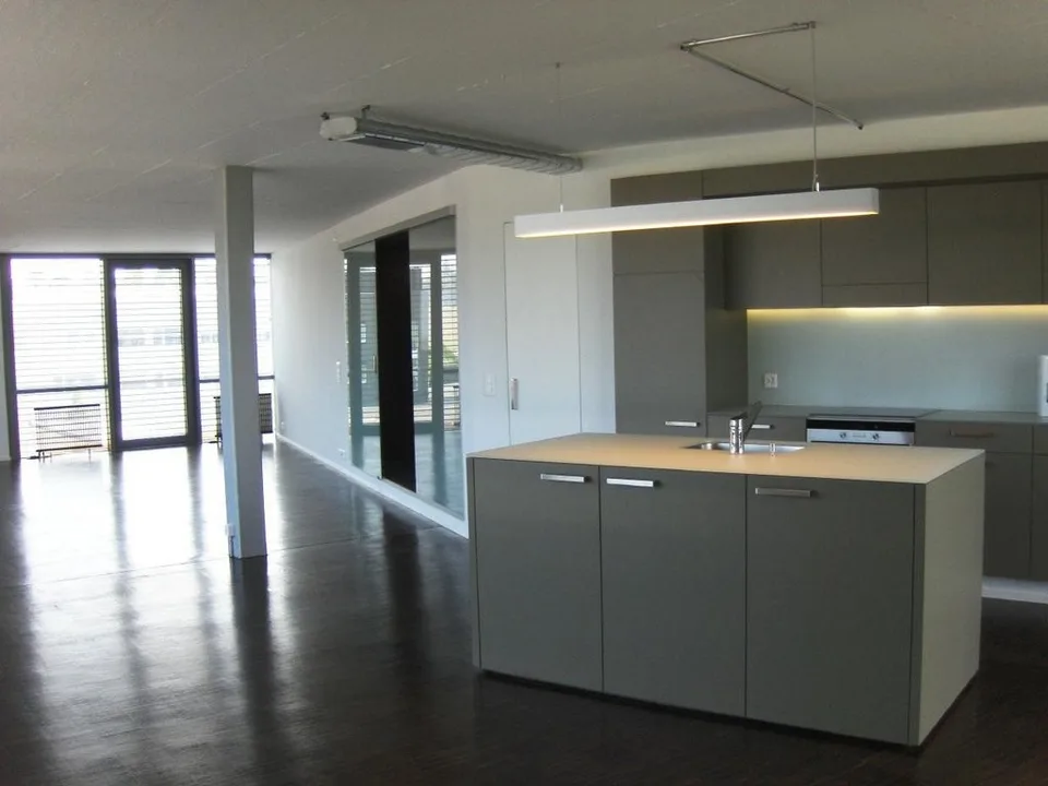 Sehr schöne Loft-Wohnung in Uster zu vermieten