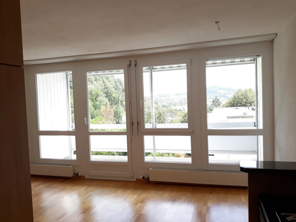 3.5-Zimmer Wohnung in Zürich Leimbach mit Alpensicht