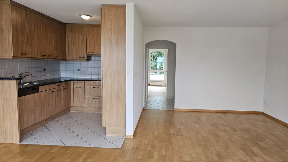 3.5-Zimmer Wohnung in Zürich Leimbach mit Alpensicht