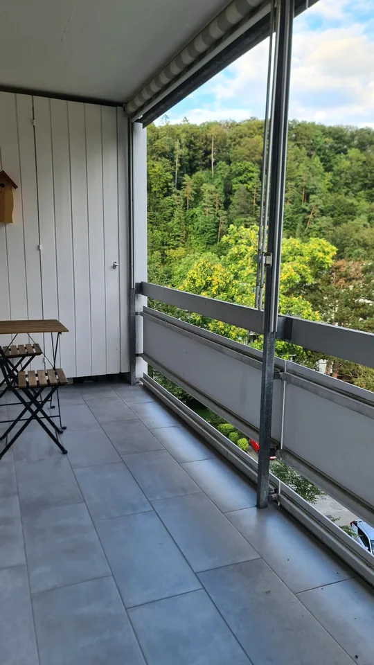3.5-Zimmer Wohnung in Zürich Leimbach mit Alpensicht