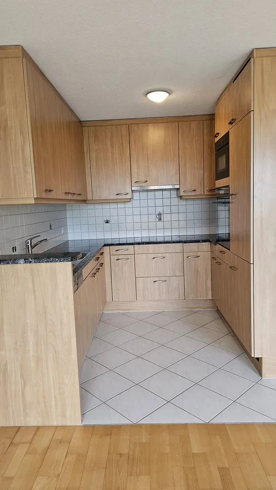 3.5-Zimmer Wohnung in Zürich Leimbach mit Alpensicht