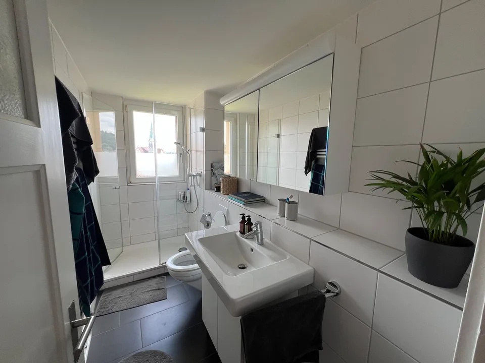 Zimmer in renovierter, schöner 2er WG in Oerlikon
