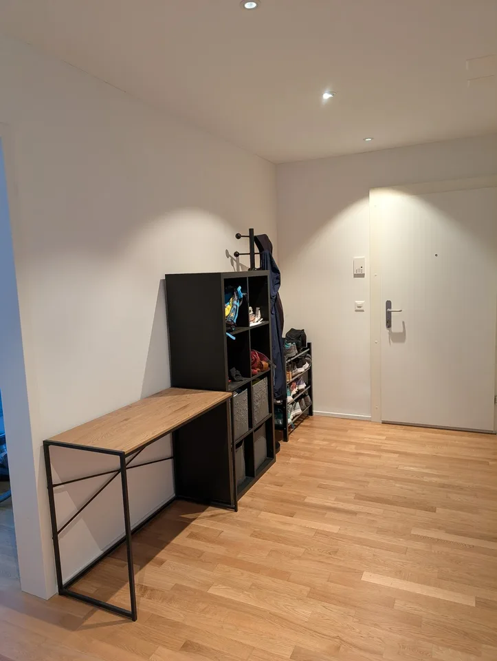 Bello appartamento moderno a Wipkingen