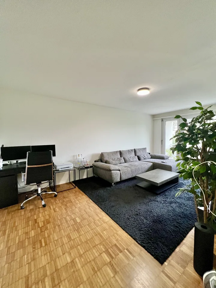 Voll möblierte 2.5-Zimmer-Wohnung in Zürich