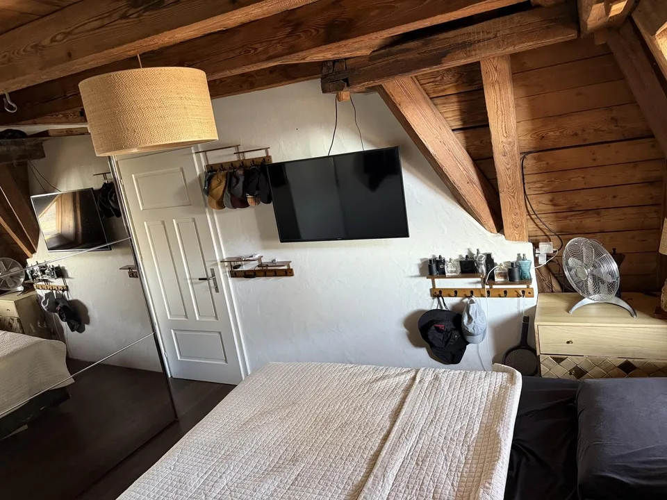 WG-Zimmer in grosser Rooftop-Wohnung, zentrale Lage (befristet 2 bis 3 Monate)