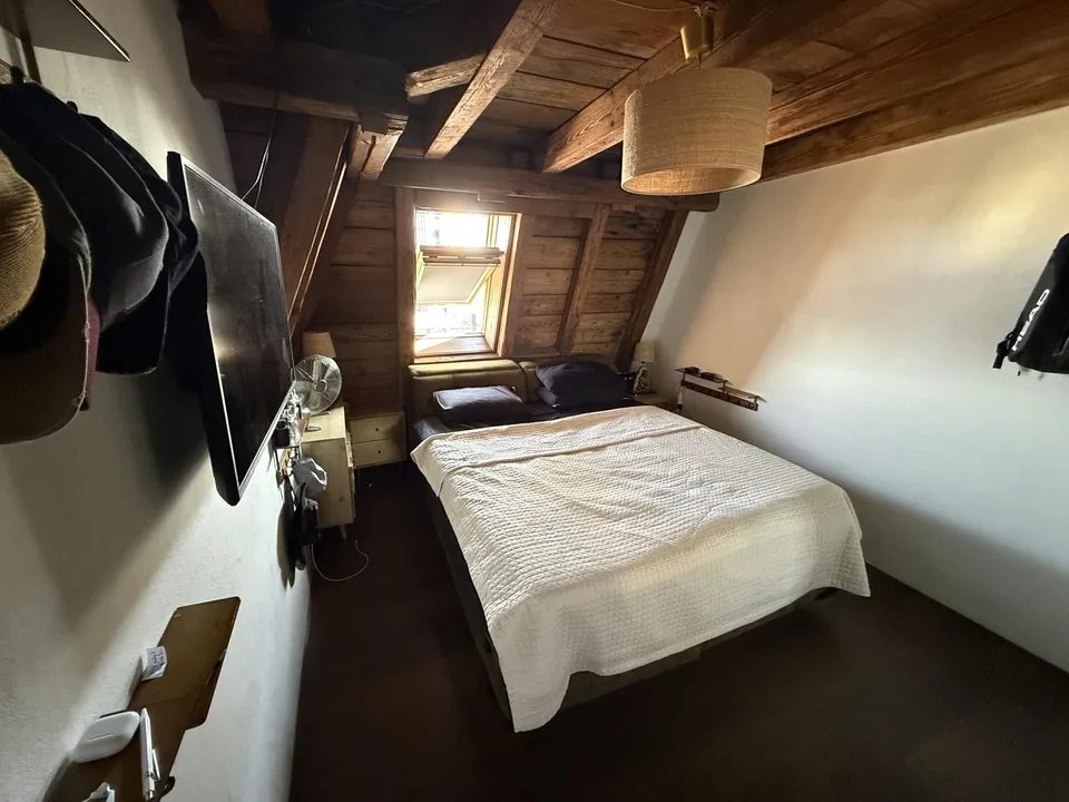 WG-Zimmer in grosser Rooftop-Wohnung, zentrale Lage (befristet 2 bis 3 Monate)
