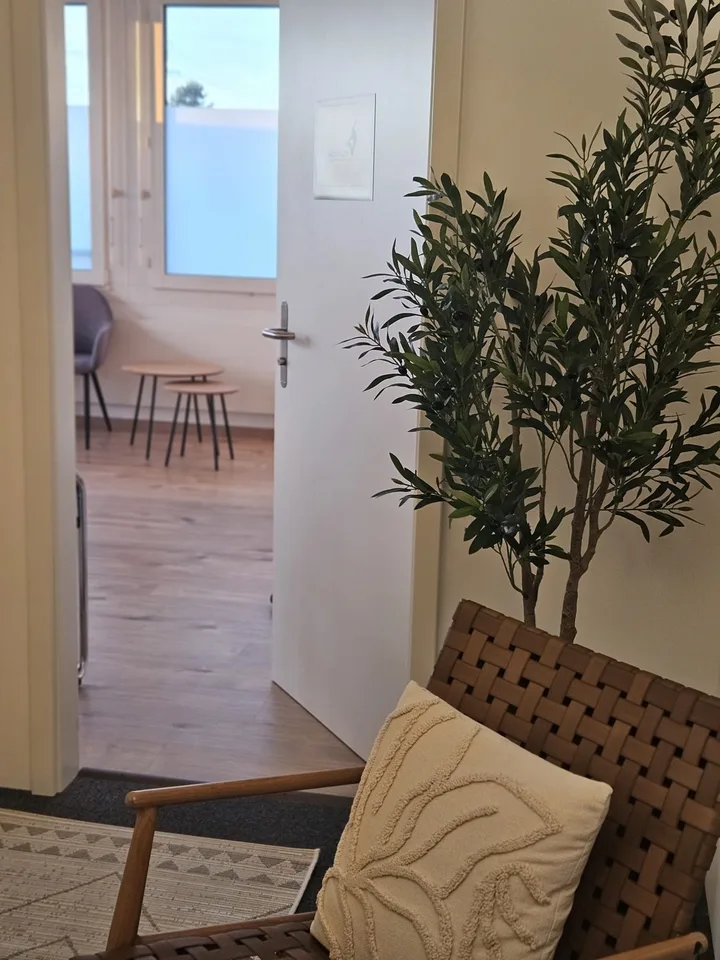Hertistrasse 25, 8304 Wallisellen - CHF 350 inkl. NK pro Monat