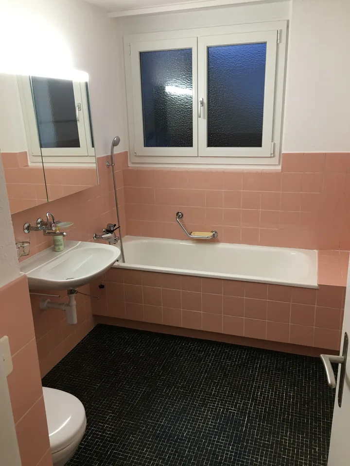 In der Fuchshütte 20, 8600 Dübendorf - CHF 4’000 inkl. NK pro Monat