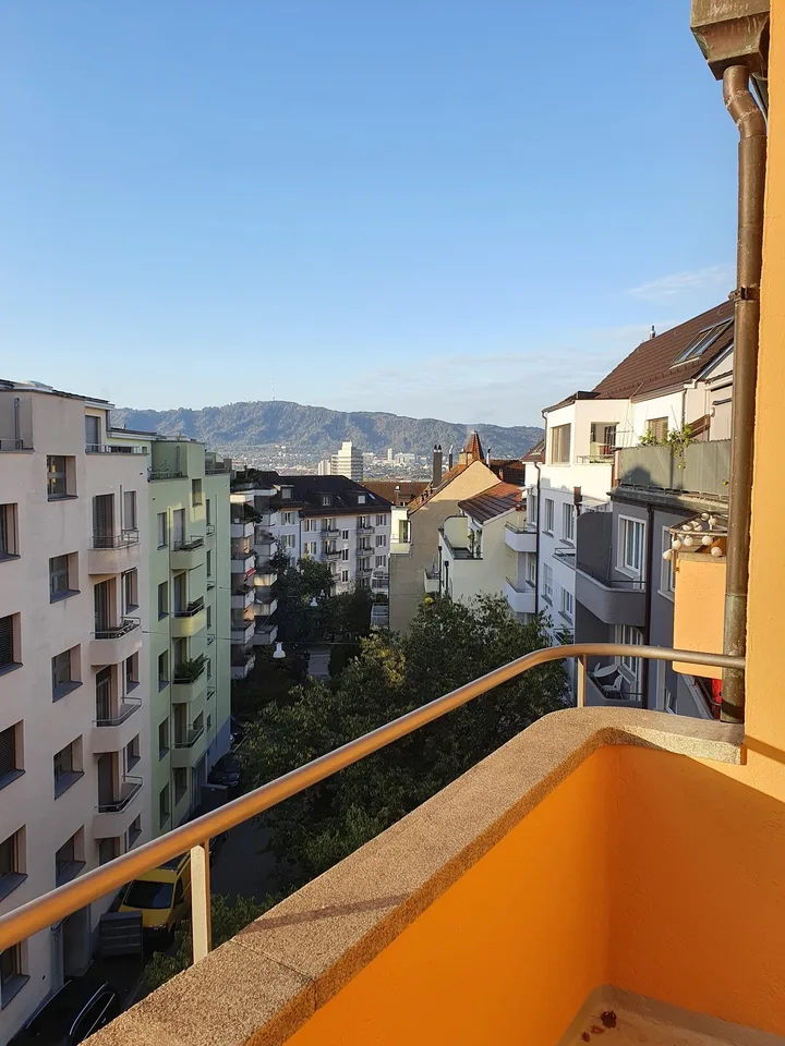 Helle 1-Zimmer-Wohnung mit sonnigem Balkon in Zürich