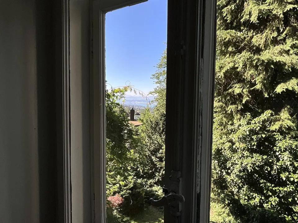 Furnished single room in Zürich (limited till the end of October 2026)