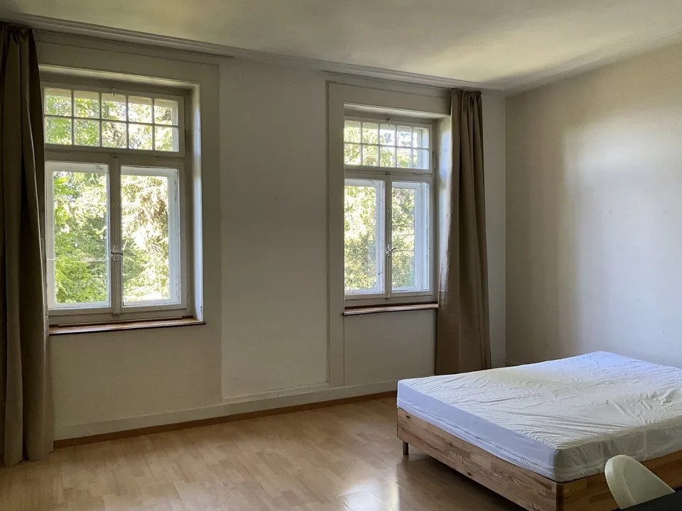 Furnished single room in Zürich (limited till the end of October 2026)