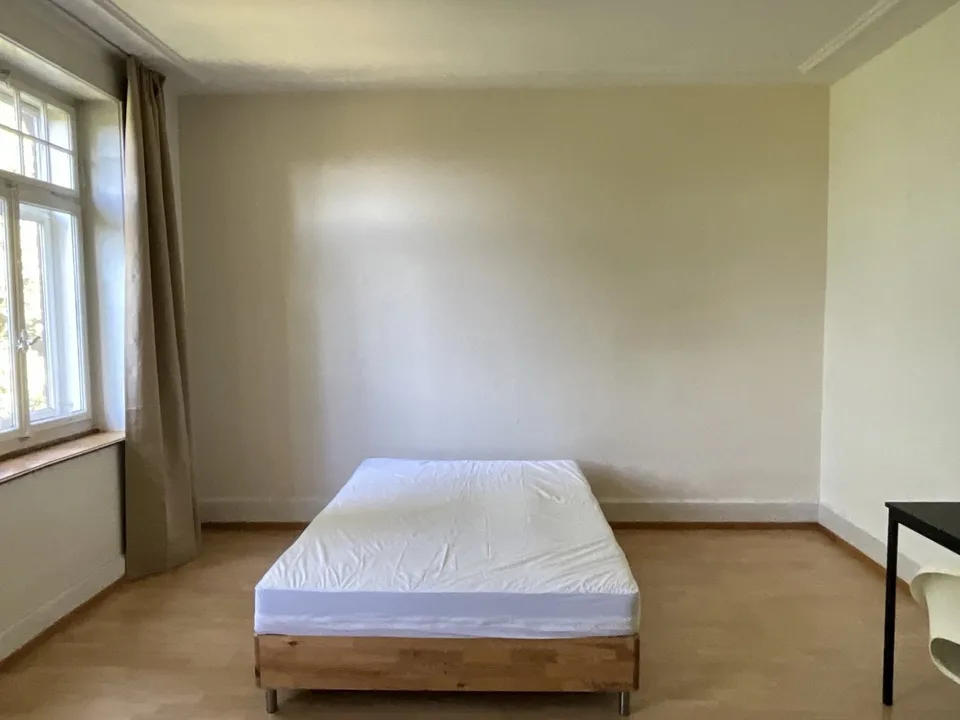 Furnished single room in Zürich (limited till the end of October 2026)