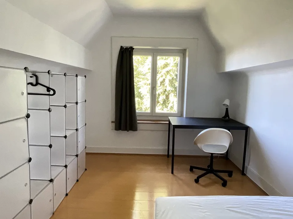 Furnished single rooms inZürich (limited till the end of October 2026)