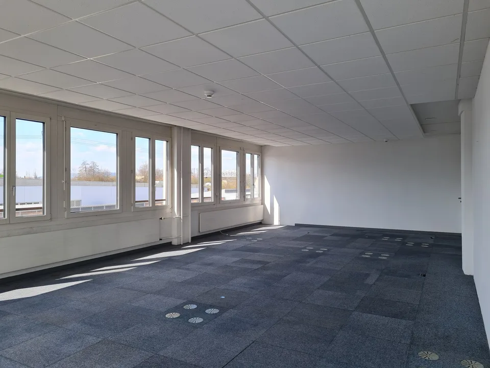 Gekühltes und helles Büro in Wallisellen