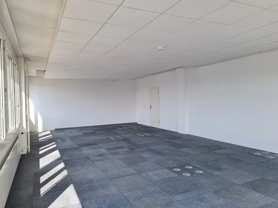 Gekühltes und helles Büro in Wallisellen
