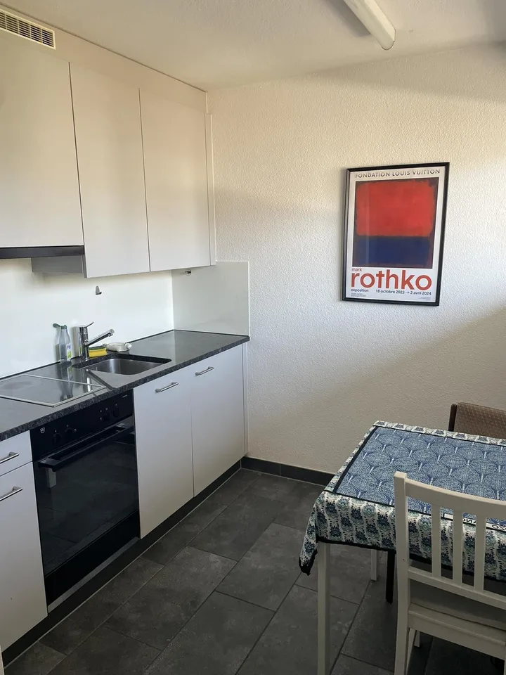 TEMPORARY Studio Apartment: Sublet, Sept 20 to Dec 31