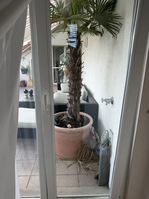 Grosses möbliertes Zimmer mit eigenem Bad und Dachterrasse in Dachgeschosswohnung