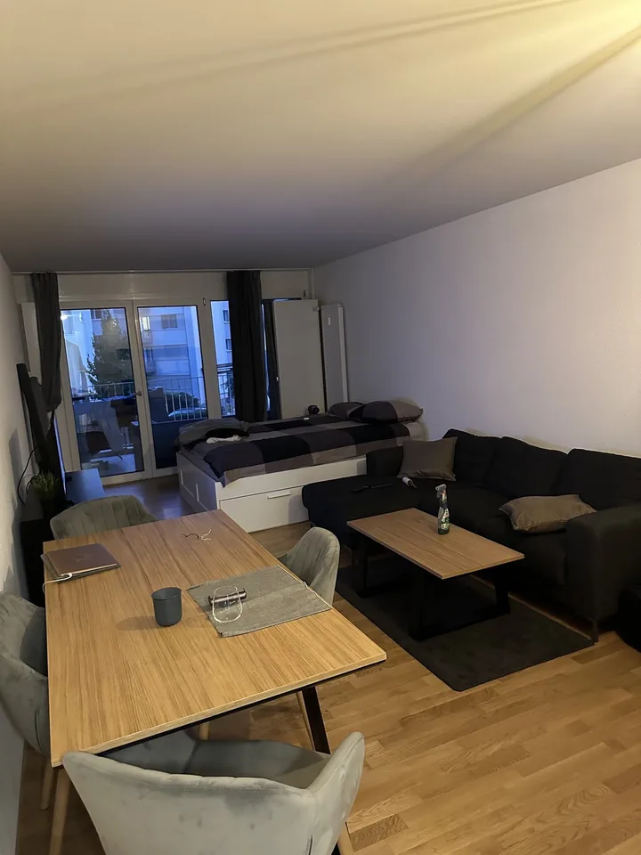 Cozy studio in Oerlikon