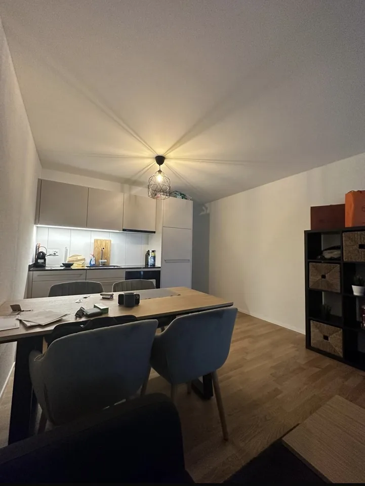 Cozy studio in Oerlikon