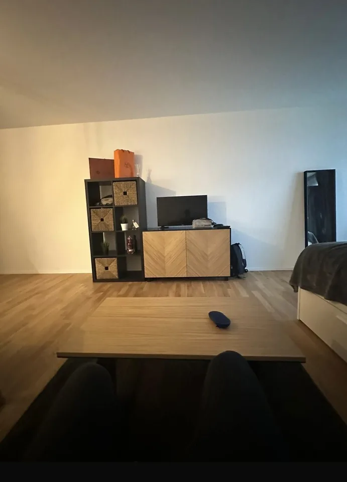 Cozy studio in Oerlikon