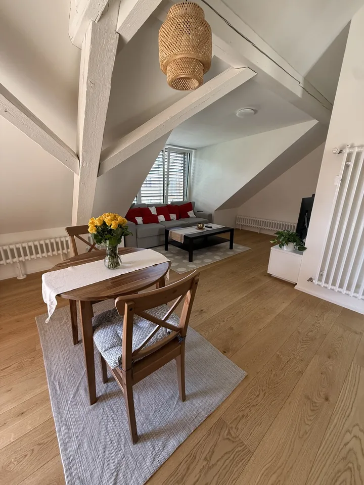 Bright 2.5-Room Apartment in the Heart of Zurich Oerlikon