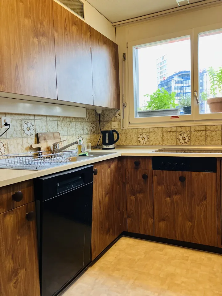 Cozy, furnished flat with big private terrace to sublet for 3-3.5 months (Oct 2026 - Jan 2027) in a nice part part of Oerlikon