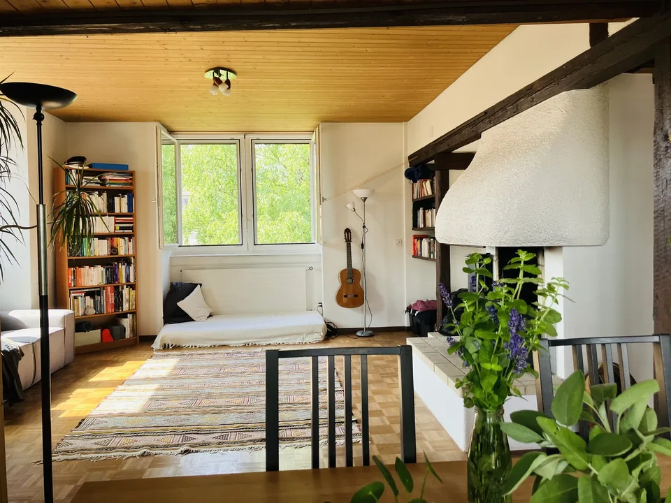 Cozy, furnished flat with big private terrace to sublet for 3-3.5 months (Oct 2026 - Jan 2027) in a nice part part of Oerlikon