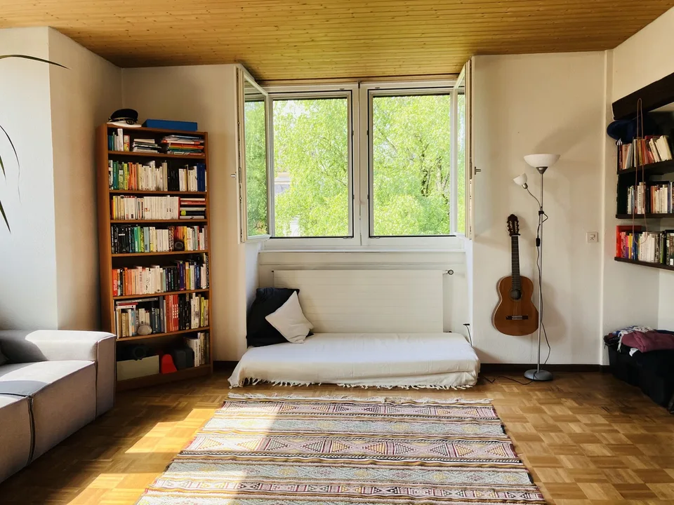 Cozy, furnished flat with big private terrace to sublet for 3-3.5 months (Oct 2026 - Jan 2027) in a nice part part of Oerlikon