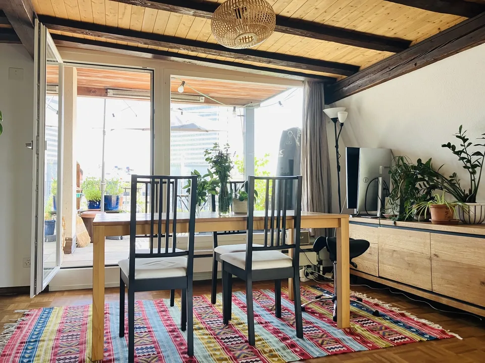 Cozy, furnished flat with big private terrace to sublet for 3-3.5 months (Oct 2026 - Jan 2027) in a nice part part of Oerlikon