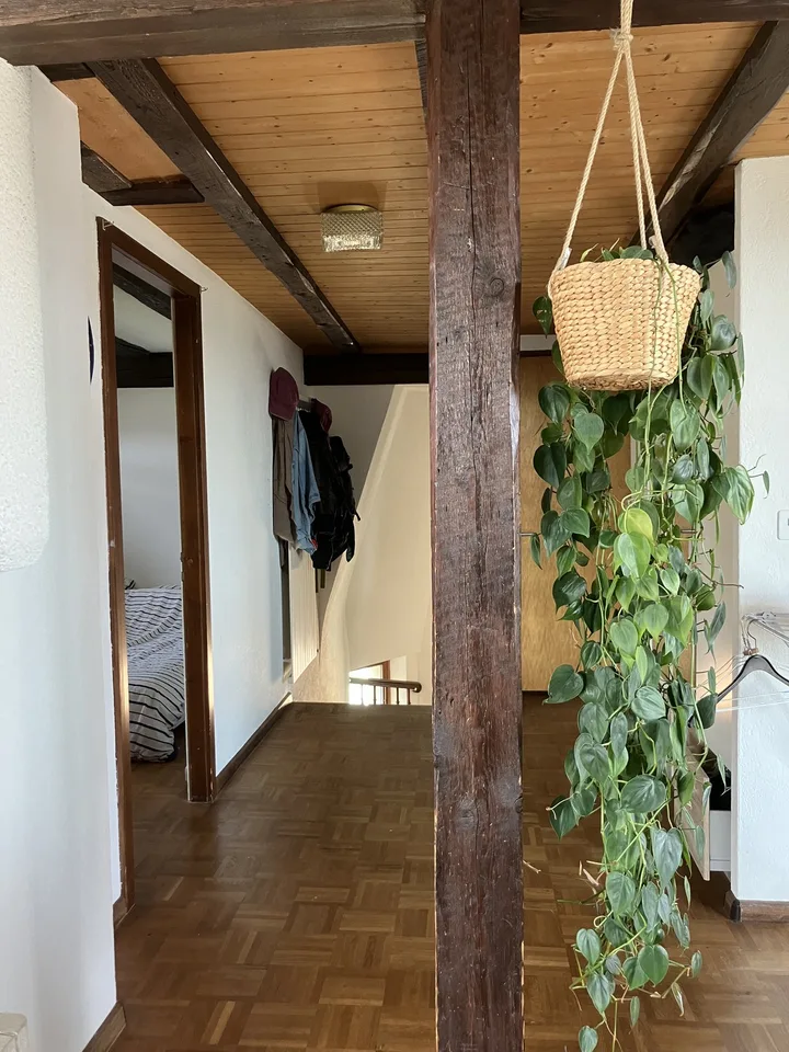 Cozy, furnished flat with big private terrace to sublet for 3-3.5 months (Oct 2026 - Jan 2027) in a nice part part of Oerlikon