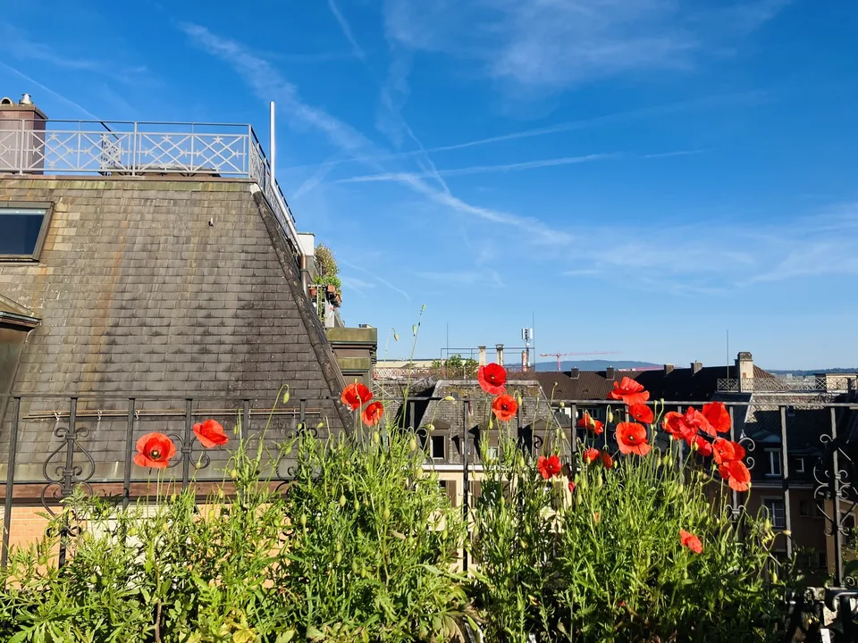 Cozy, furnished flat with big private terrace to sublet for 3-3.5 months (Oct 2026 - Jan 2027) in a nice part part of Oerlikon