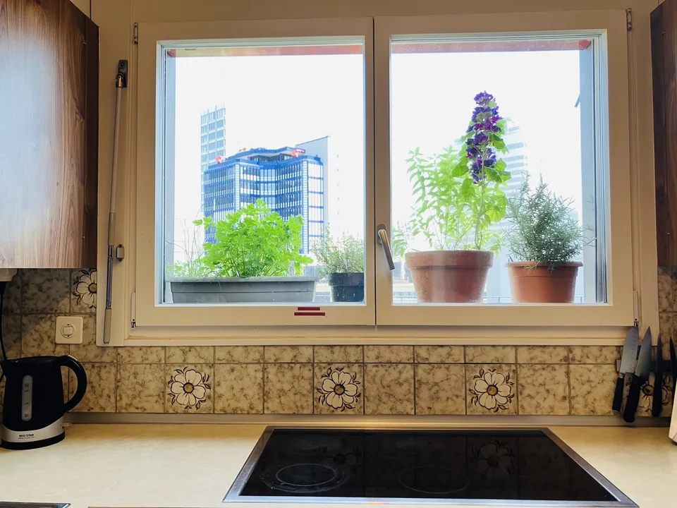 Cozy, furnished flat with big private terrace to sublet for 3-3.5 months (Oct 2026 - Jan 2027) in a nice part part of Oerlikon