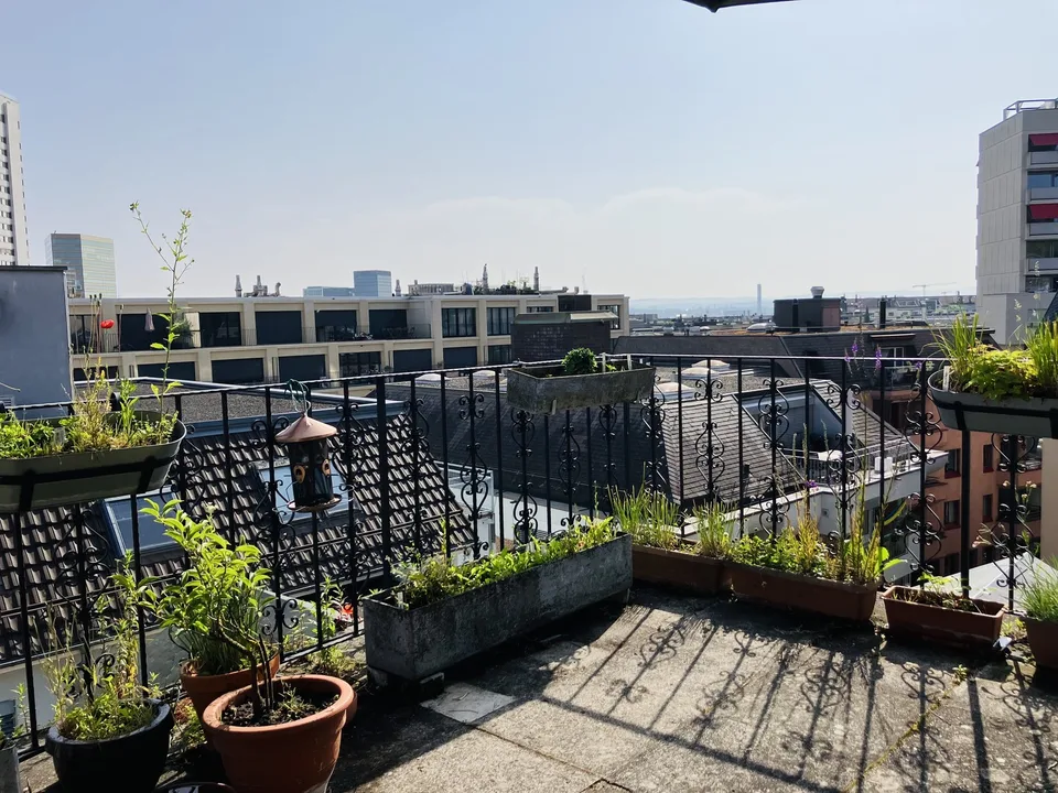 Cozy, furnished flat with big private terrace to sublet for 3-3.5 months (Oct 2026 - Jan 2027) in a nice part part of Oerlikon