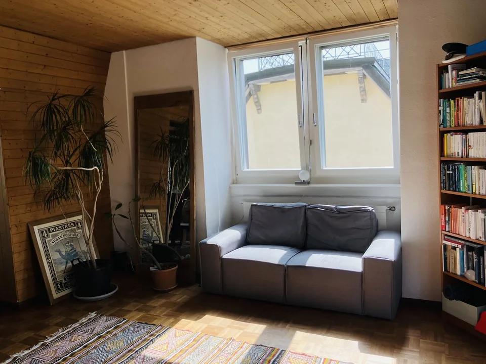 Cozy, furnished flat with big private terrace to sublet for 3-3.5 months (Oct 2026 - Jan 2027) in a nice part part of Oerlikon