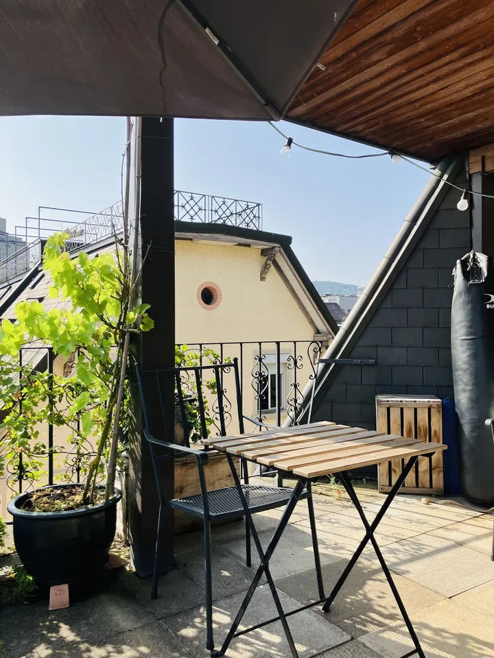 Cozy, furnished flat with big private terrace to sublet for 3-3.5 months (Oct 2026 - Jan 2027) in a nice part part of Oerlikon