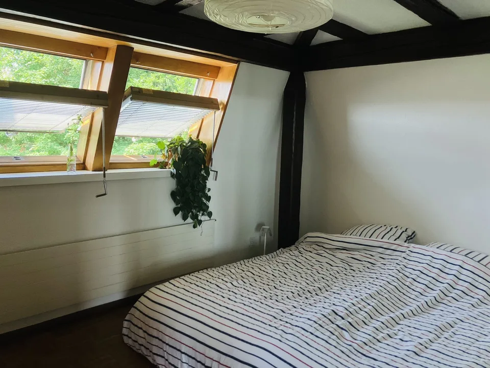 Cozy, furnished flat with big private terrace to sublet for 3-3.5 months (Oct 2026 - Jan 2027) in a nice part part of Oerlikon