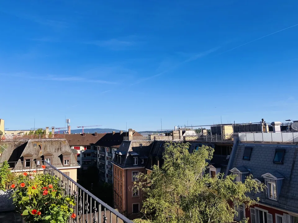 Cozy, furnished flat with big private terrace to sublet for 3-3.5 months (Oct 2026 - Jan 2027) in a nice part part of Oerlikon