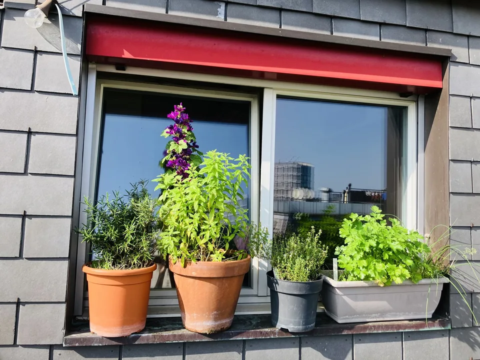 Cozy, furnished flat with big private terrace to sublet for 3-3.5 months (Oct 2026 - Jan 2027) in a nice part part of Oerlikon