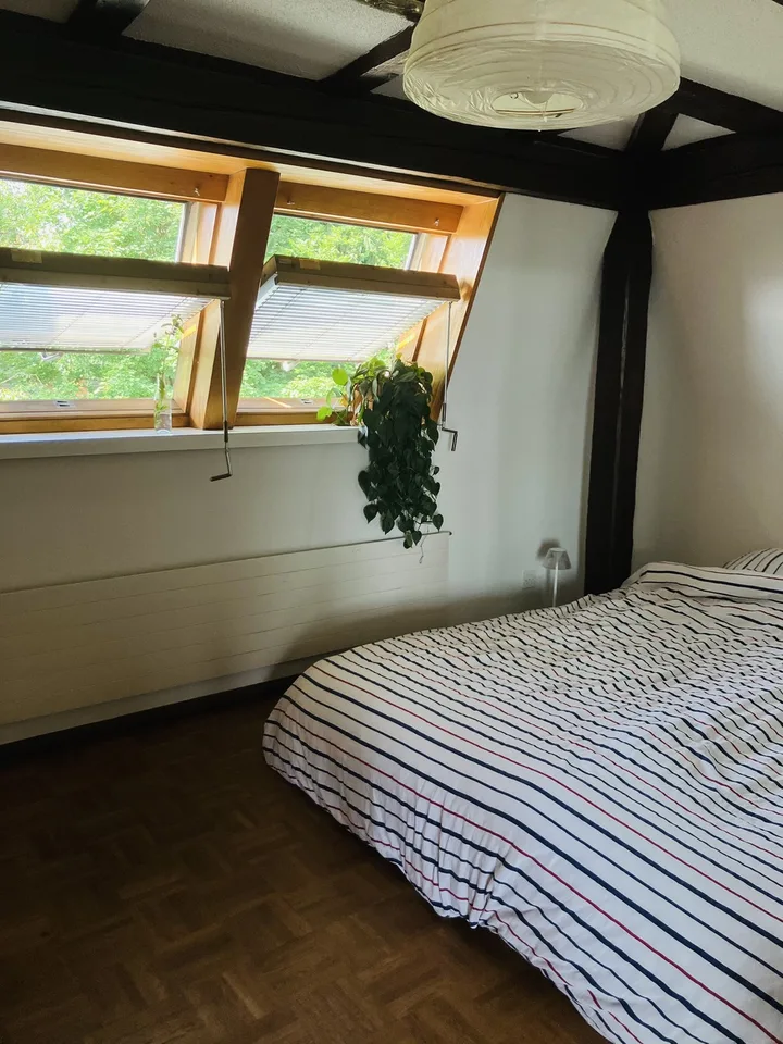 Cozy, furnished flat with big private terrace to sublet for 3-3.5 months (Oct 2026 - Jan 2027) in a nice part part of Oerlikon