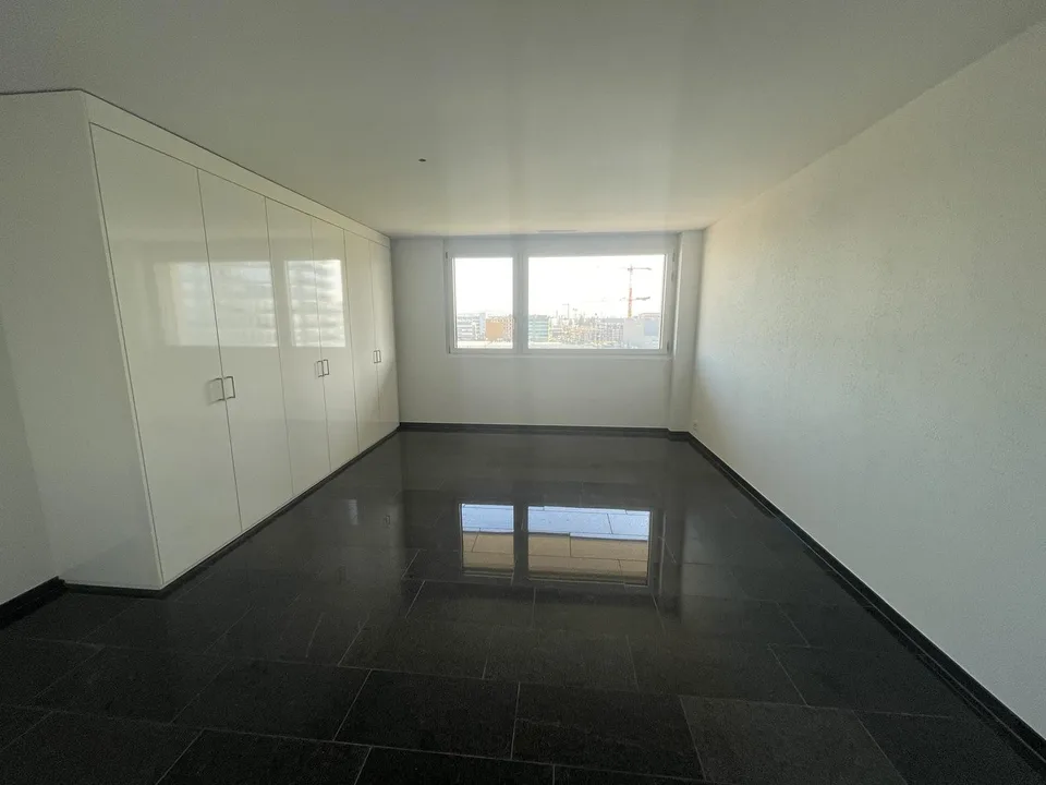 Rent a 4.5 Rooms (153m2) Gross, Luxurious Apartment in Stettbach Dübendorf