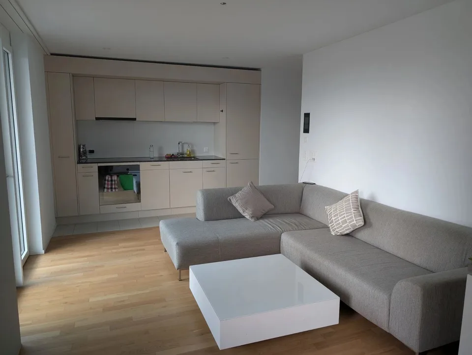 [For Sublet] 2.5 room apartment in Zurich Stettbach (2160 CHF/mo)
