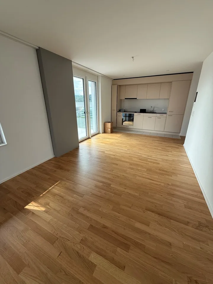 [For Sublet] 2.5 room apartment in Zurich Stettbach (2160 CHF/mo)