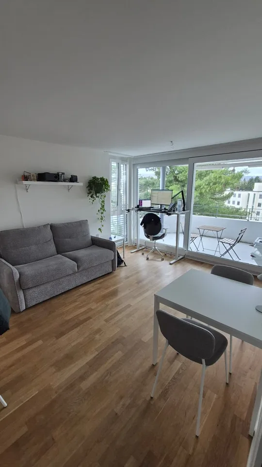 Modern 1.5-room apartment in Dübendorf (ZH) from August 2026 (partially furnished)