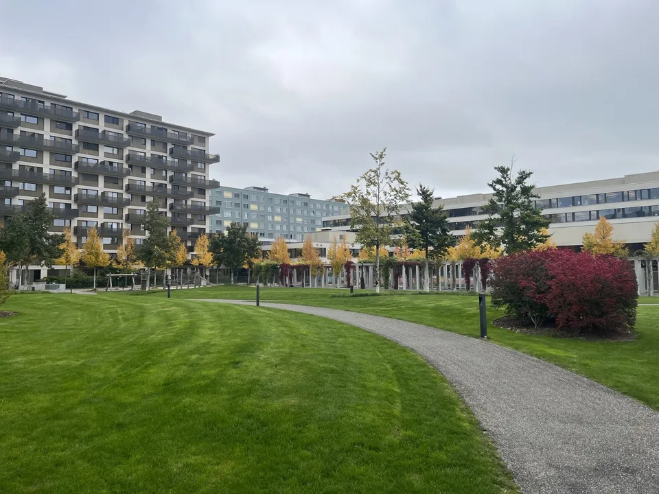 Zimmer zu vermieten