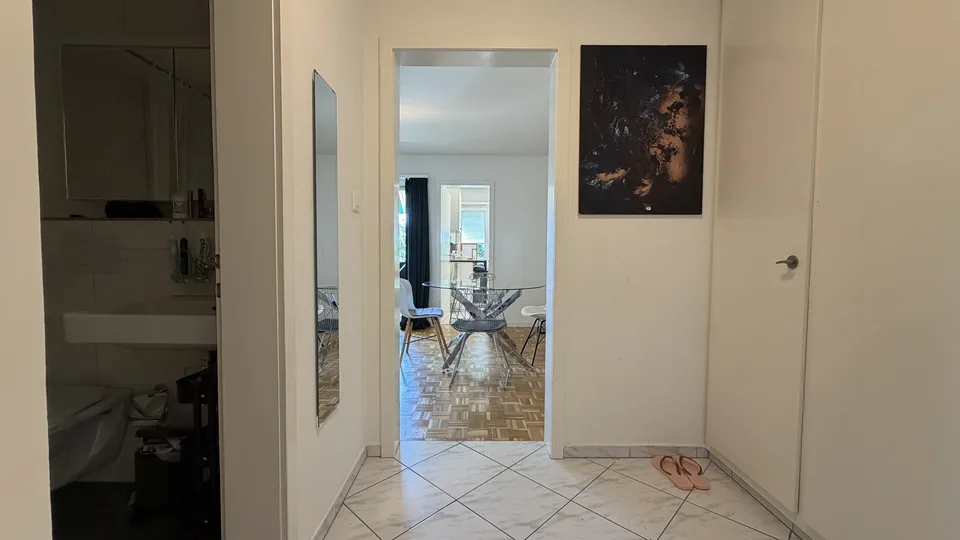 Bright 2 Room Top-Floor Apartment with Balcony in Dübendorf